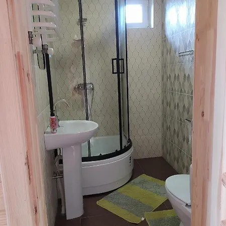 Брусниця *